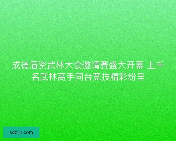 成德眉资武林大会邀请赛盛大开幕 上千名武林高手同台竞技精彩纷呈