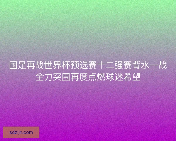 国足再战世界杯预选赛十二强赛背水一战全力突围再度点燃球迷希望