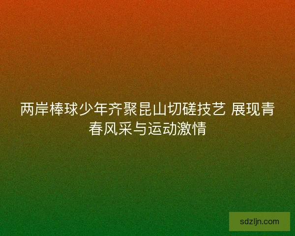 两岸棒球少年齐聚昆山切磋技艺 展现青春风采与运动激情 两岸棒球少年齐聚昆山切磋技艺 展现青春风采与运动激情