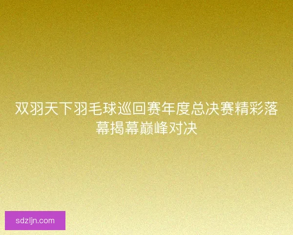 双羽天下羽毛球巡回赛年度总决赛精彩落幕揭幕巅峰对决 双羽天下羽毛球巡回赛年度总决赛精彩落幕揭幕巅峰对决
