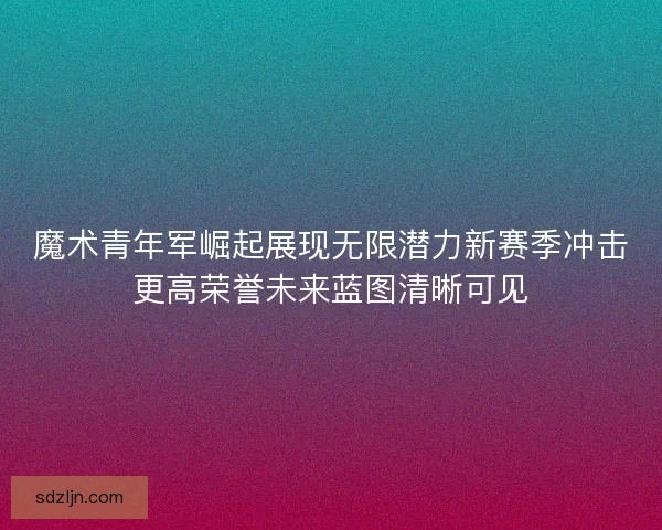 魔术青年军崛起展现无限潜力新赛季冲击更高荣誉未来蓝图清晰可见