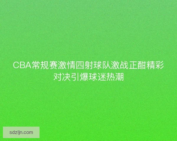CBA常规赛激情四射球队激战正酣精彩对决引爆球迷热潮